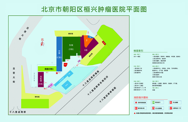 日本舔操屄北京市朝阳区桓兴肿瘤医院平面图